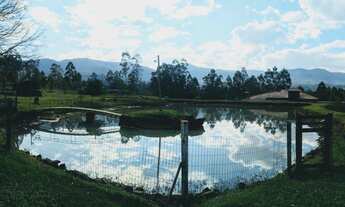 Imagem 7: Chácara com 2 Dormitorio(s) localizado(a) no bairro 1,5 KM do centro em Nova Hartz / Rio