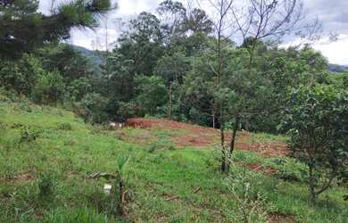 Imagem 3: ÁREA DE TERRA À VENDA EM CAMPO BOM