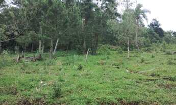 Imagem 2: ÁREA DE TÉRREA À VENDA EM CAMPO BOM