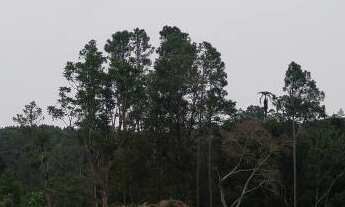 Imagem 1: Terreno à venda