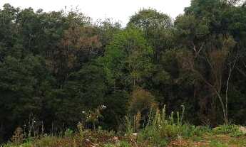 Imagem 3: Terreno à venda