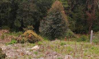 Imagem 5: Terreno à venda