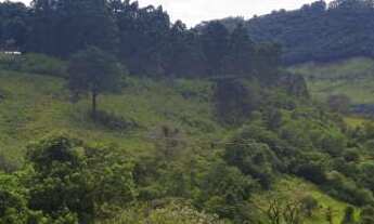 Imagem 5: Casa à venda Casa com 6 dormitórios