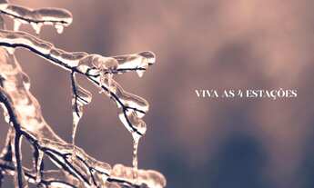 Imagem 2: Garden Haus Gramado