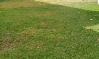 Imagem 1: Área de terra à venda