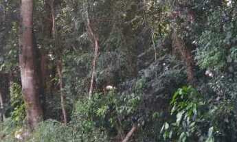 Imagem 5: Área de terra à venda