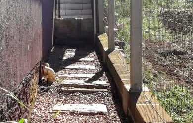 Imagem 4: Casas à venda Casa com venda por R$380.000