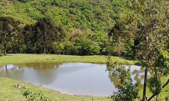 Imagem 6: Oportunidade Única !!!!