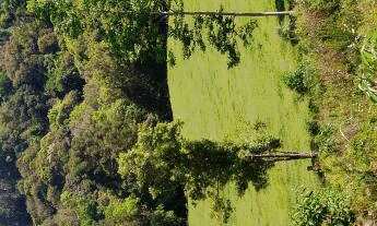 Imagem 7: Oportunidade Única !!!!