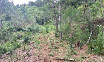 Imagem: Área Rural 9 COLÔNIAS