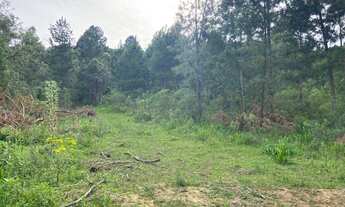 Imagem 3: Área Rural 9 COLÔNIAS