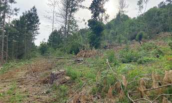 Imagem 4: Área Rural 9 COLÔNIAS