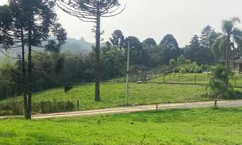 Imagem 5: Terreno à venda em Gramado, no Vale dos Pinheiros