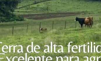 Imagem: ÁREA DE TERRA EM SÃO JOSÉ DO HORTÊNCIO