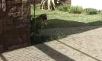 Imagem: Casa Térrea com Salão de Festas e Vista