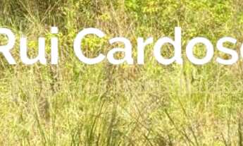 Imagem 4: Terreno a Venda em Nova Petrópolis