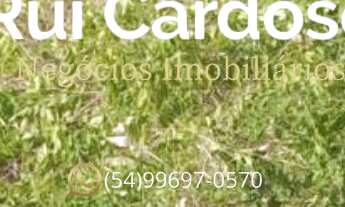 Imagem 7: Terreno a Venda em Nova Petrópolis