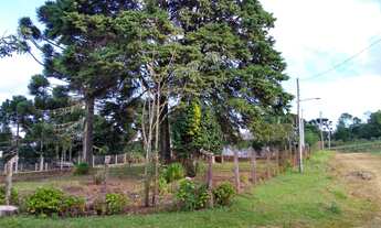 Imagem 4: Terreno, 20M² de Área Total