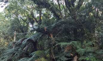 Imagem 2: Terreno São Bernardo