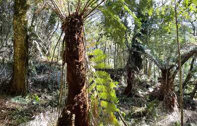 Imagem 4: Terreno Colinas, 20M² de Área Total