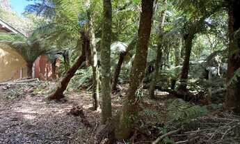 Imagem 2: Terreno Alpes de São Francisco