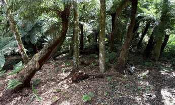 Imagem 3: Terreno Alpes de São Francisco