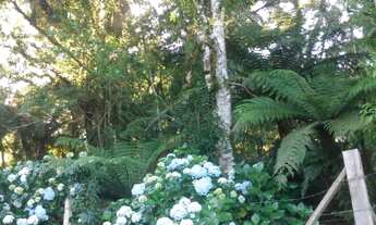 Imagem 4: Terreno Alpes de São Francisco