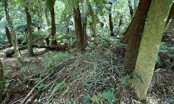 Imagem 5: Terreno Alpes de São Francisco