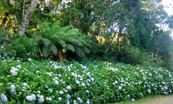 Imagem 6: Terreno Alpes de São Francisco