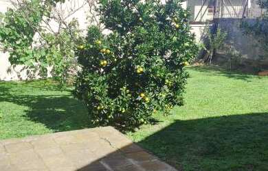 Imagem 7: Terreno Terreno / lote com venda por R$3.500.000