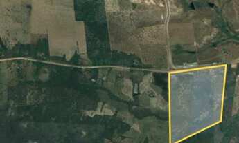 Imagem 2: Macaiba, 1030000M² de Área Total