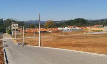 Imagem: RECANTO DO SOL/ HARAS DO CHIRÚ