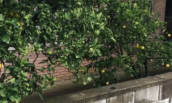 Imagem 2: Casa com 3 Dormitorio(s) localizado(a) no bairro Mariland em Caxias do Sul / Rio Grande d