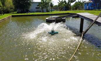 Imagem 3: Sítio com 3 Dormitorio(s) localizado(a) no bairro Sitio Ipiranga em Cachoeirinha / Rio Gr