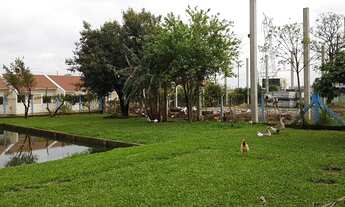 Imagem 7: Sítio com 3 Dormitorio(s) localizado(a) no bairro Sitio Ipiranga em Cachoeirinha / Rio Gr