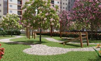 Imagem 5: Lançamento no Jaguaré