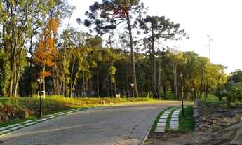 Imagem 4: Terreno com 3 Dormitorio(s) localizado(a) no bairro Ana Rech em Caxias do Sul / RIO GRAND