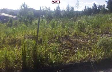 Imagem 2: Terreno com 2 Dormitorio(s) localizado(a) no bairro São Luiz em Caxias do Sul / RIO GRAND