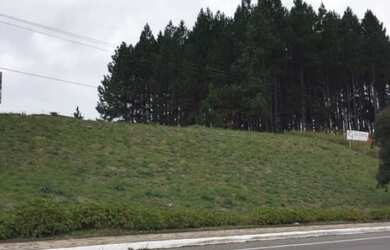 Imagem 4: Terreno com 4 Dormitorio(s) localizado(a) no bairro Loteamento Monte Bello em Flores da C