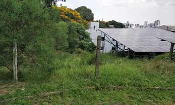 Imagem 4: Terreno bairro Jardelino Ramos