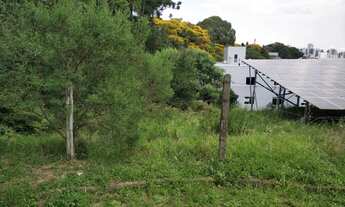 Imagem 5: Terreno bairro Jardelino Ramos