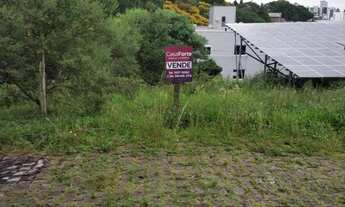 Imagem 2: Terreno bairro Jardelino Ramos