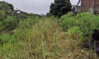 Imagem 3: Terreno bairro Kayser