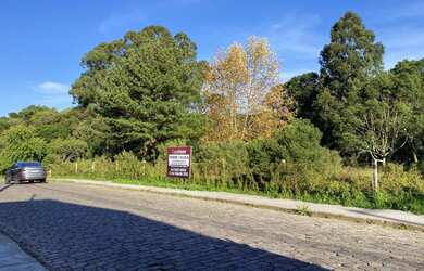 Imagem 2: Terreno bairro Diamantino