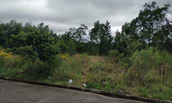 Imagem 3: Terreno bairro Bela Vista