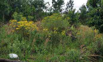 Imagem 4: Terreno bairro Bela Vista