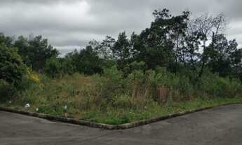 Imagem 7: Terreno bairro Bela Vista