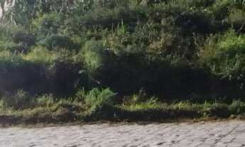 Imagem: Terreno com 3 Dormitorio(s) localizado(a)