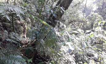 Imagem: LINDA ÁREA DE TERRA COM CASCATA DE FÁCIL