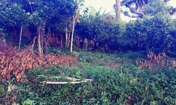 Imagem: CASA ANTIGA EM UM LINDO TERRENO DE 1128M²